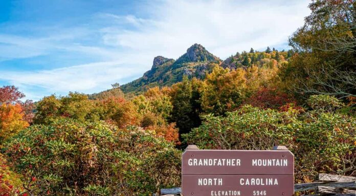 Parco statale di Grandfather Mountain nella stagione autunnale.  Grandfather Mountain è una montagna vicino a Linville, nella Carolina del Nord.  Con i suoi 5.946 piedi, è la vetta più alta della parte orientale delle Blue Ridge Mountains.