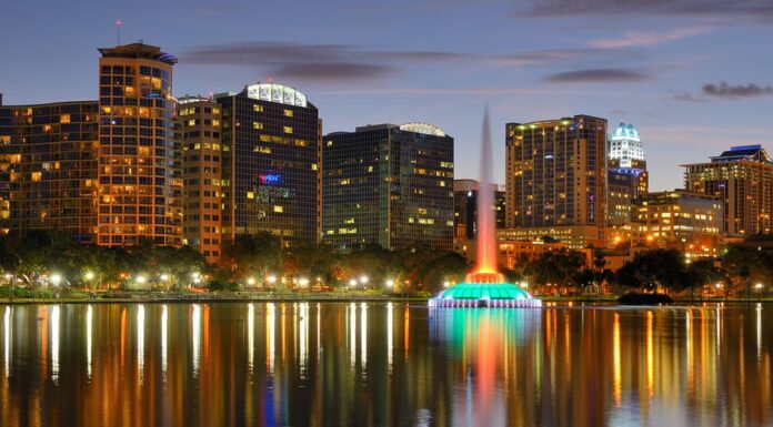 Orlando è la migliore città numero uno per gli amanti dei gatti.