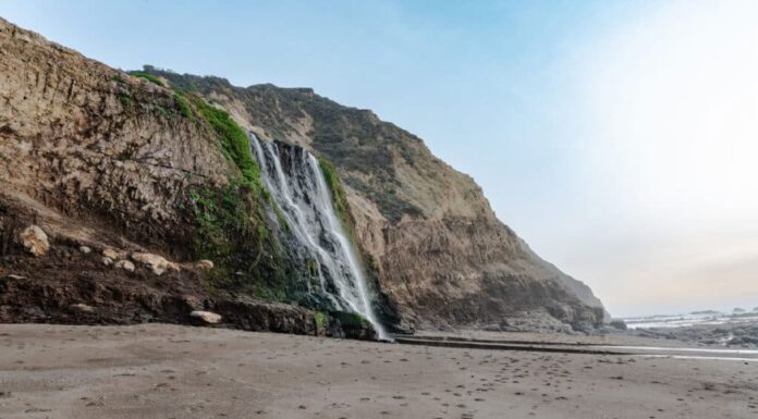Alamere cade in California
