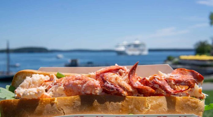 Mangiare un rotolo di aragosta fresca del Maine all'aperto