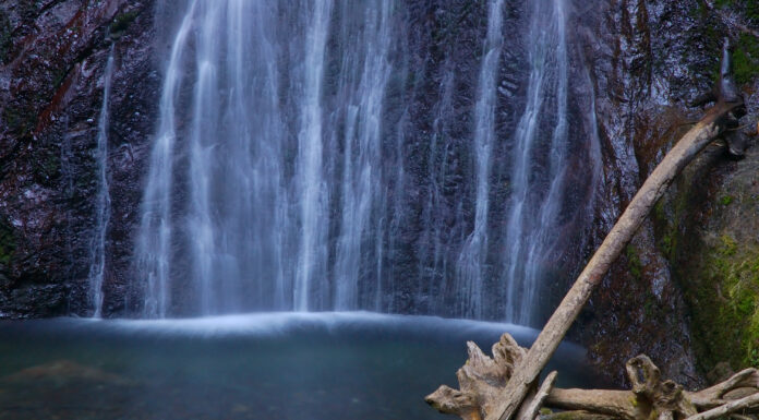 Cascata nella foresta
