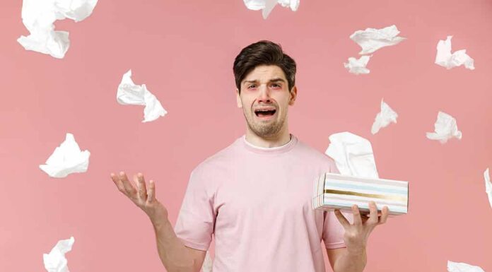 Stagione delle allergie