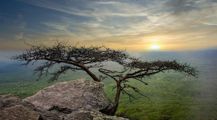 Alba al Cheaha State Park, Talladega National Forest, Alabama, Stati Uniti