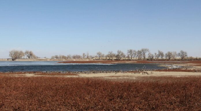 Parco statale del lago Barr