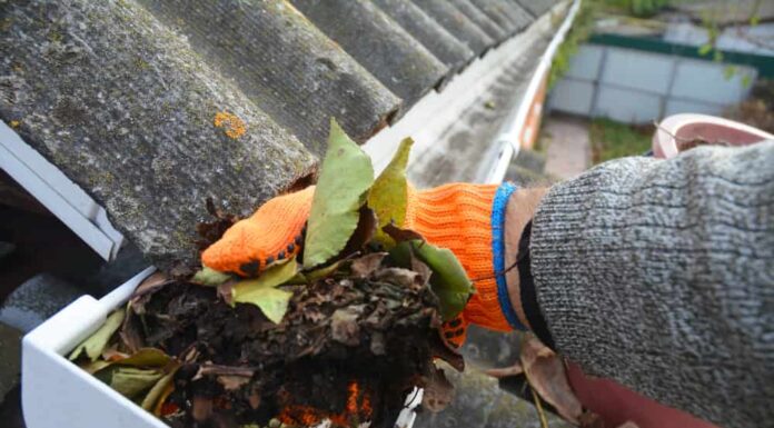 Un uomo sta ripulendo una grondaia intasata da sporco, detriti e foglie cadute per prevenire danni causati dall'acqua e consentire il corretto drenaggio dell'acqua piovana. 