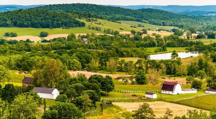 Vista delle colline e dei terreni agricoli del Piemonte della Virginia, visti dallo Sky Meadows State Park.