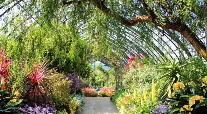 Serra dell'Orangerie dei Giardini di Longwood 