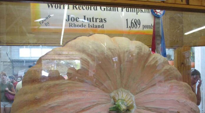 la zucca più grande mai registrata