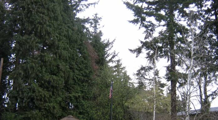 La casa più antica di Washington è ancora forte dopo 175 anni
