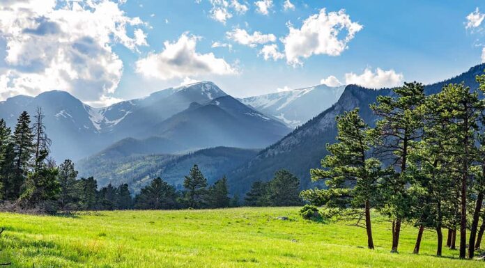 Prato nel Parco Nazionale delle Montagne Rocciose