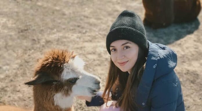 foto granulosa.donna carina e divertente con il lama.ragazza con il lama allo zoo.passeggiata con il lama.foto divertente con animali.animale all'aperto.animali da salvataggio.foto divertente con animale domestico.ragazza e alpaca.amore per gli animali.