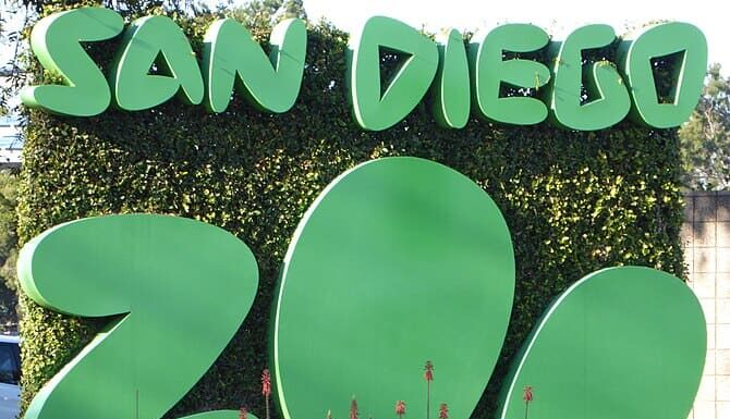 Segnale stradale dello zoo di San Diego su Park Blvd con edera completamente cresciuta.