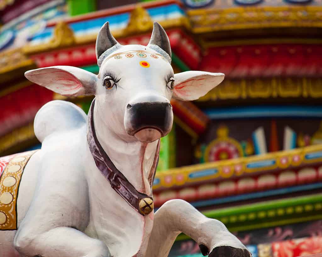 Una statua sacra della mucca indù al tempio di Sri Mariamman a Chinatown, Singapore