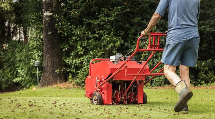 Uomo che utilizza una macchina di aerazione alimentata a gas per aerare il cortile residenziale dell'erba.  Giardiniere che utilizza attrezzature per l'aerazione del prato per la manutenzione del manto erboso.