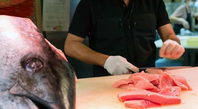 Lo chef taglia il tonno rosso nel mercato Kuromon, Osaka, Giappone