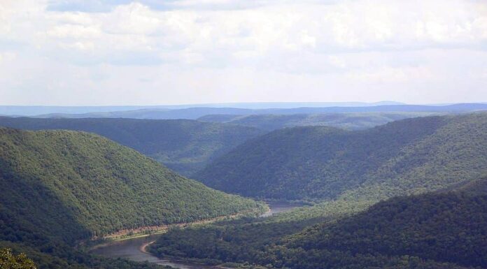 Si dice che l'Albatwitch viva nello spartiacque del fiume Susquehanna.
