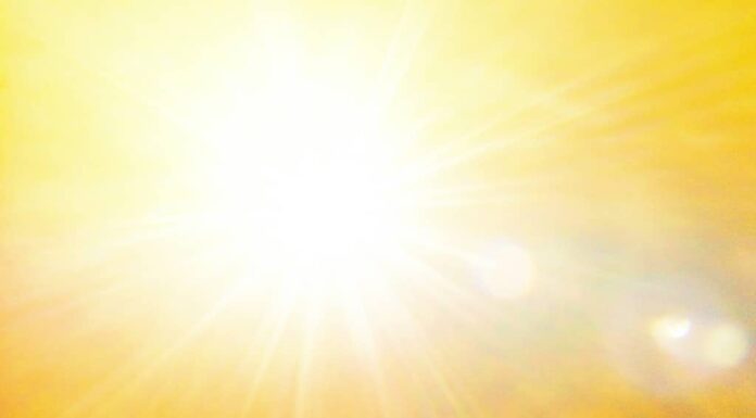 la luce del sole è molto calda.  stagione estiva