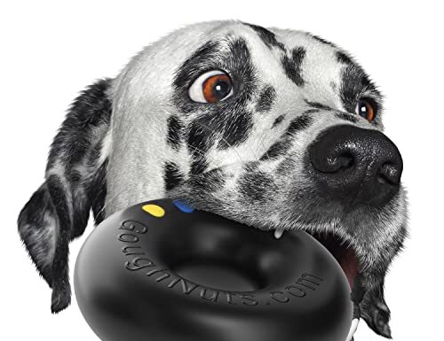 Goughnuts - Giocattoli per cani per masticatori aggressivi |  Giocattoli per cani praticamente indistruttibili per razze di grandi dimensioni come i Pitbull |  Giocattolo per cani resistente |  Nero