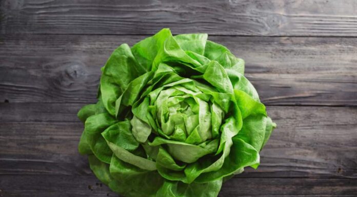 12 alimenti umani che puoi somministrare in sicurezza ai pesci Betta
