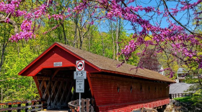 Ponte Coperto Di Newfield A New York