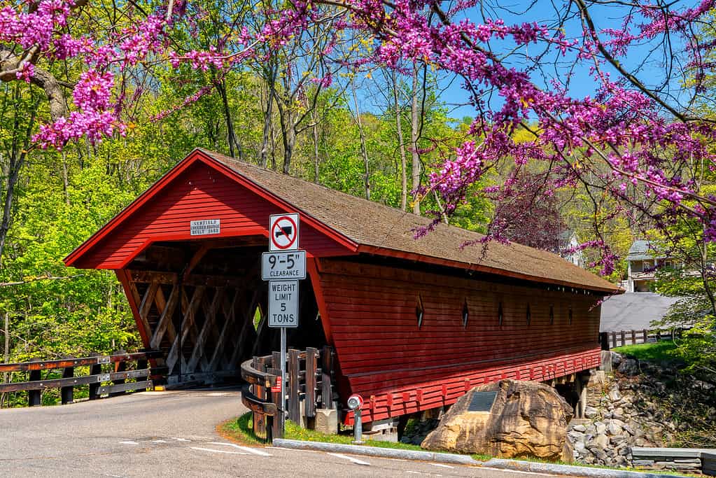 Ponte Coperto Di Newfield A New York