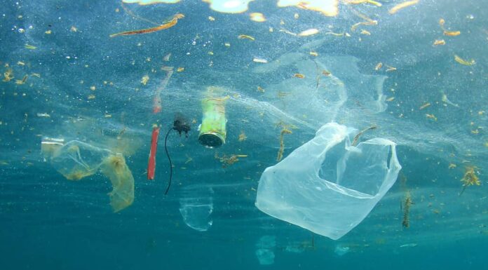 Inquinamento da plastica nell'oceano