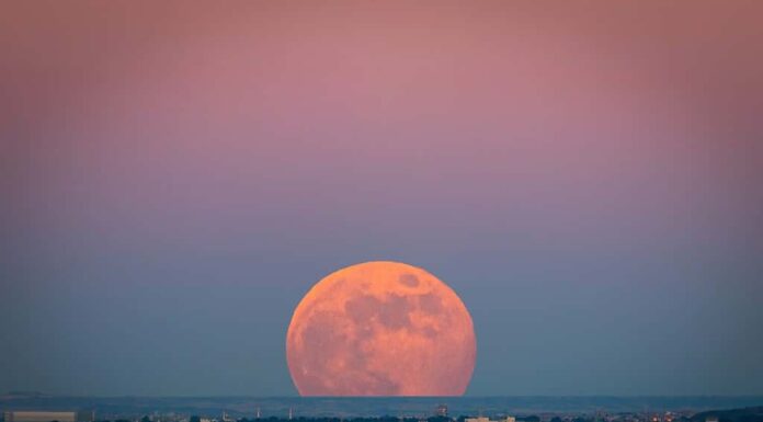 La Supermoon delle fragole (Supermoon delle fragole) al tramonto con gradiente dal blu al rosa sullo skyline della città nel giugno 2020 in Spagna.