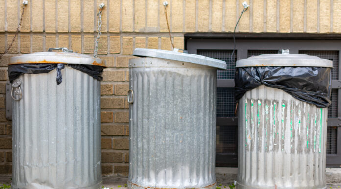 Gli 8 modi più efficaci per tenere gli scoiattoli lontani dai bidoni della spazzatura
