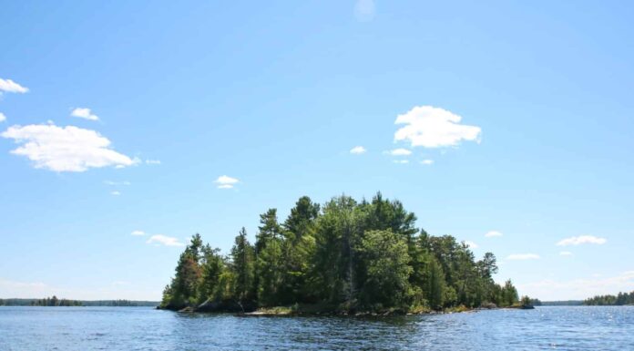 Una piccola isola su Rainy Lake, Minnesota, situata a International Falls.  Il lago e il cielo sono blu con poche nuvole bianche.  Il lago si trova nel Parco Nazionale Voyageur.