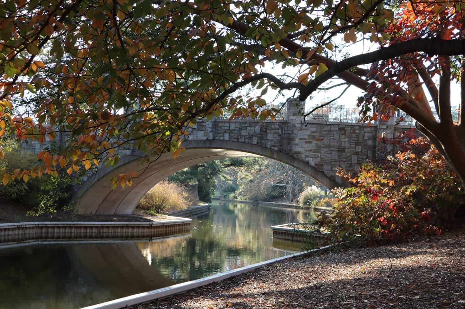 Vista autunnale sotto il ponte di pietra ai giardini botanici di Norfolk