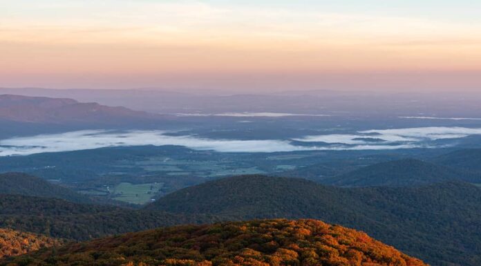 Una foto autunnale dell'ora d'oro all'Hogback Overlook su Skyline Drive nel Parco nazionale di Shenandoah, Virginia.