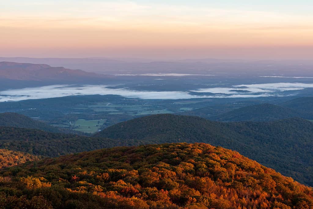 Una foto autunnale dell'ora d'oro all'Hogback Overlook su Skyline Drive nel Parco nazionale di Shenandoah, Virginia.