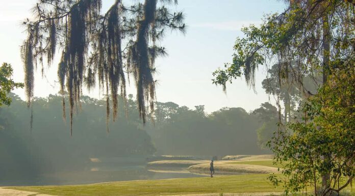 Hilton Head, Carolina del Sud, Bellezza naturale, Immagine a colori, Nebbia