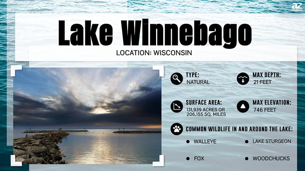 Quanto è largo il lago Winnebago del Wisconsin nel suo punto più largo?