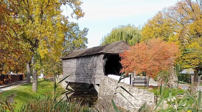Questi 7 maestosi ponti coperti nel Michigan sono straordinariamente pittoreschi
