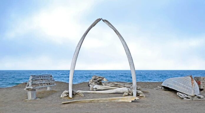 Arco di ossa di balena a Utqiagvik, Alaska, ai margini dell'Oceano Artico.  Denominato il "Porta per l'Artico"simboleggia il rapporto della comunità con il mare e la caccia alle balene.