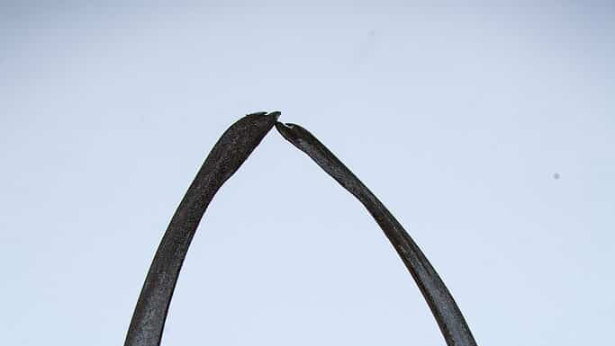 Ossa di balena a Utqiagvik, Alaska