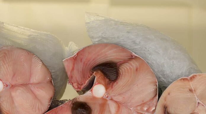 Bistecche di pesce spada fresche congelate sul ghiaccio in un mercato del pesce.