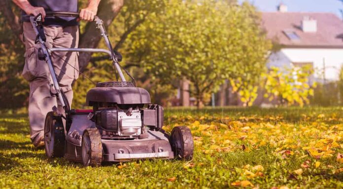 Falciare l'erba con un tosaerba in giardino all'inizio dell'autunno.  Pacciamatura dell'erba in giardino.