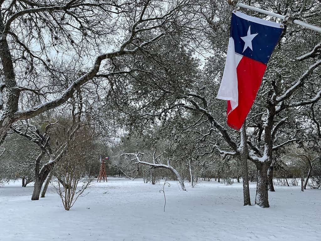 Texas Inverno