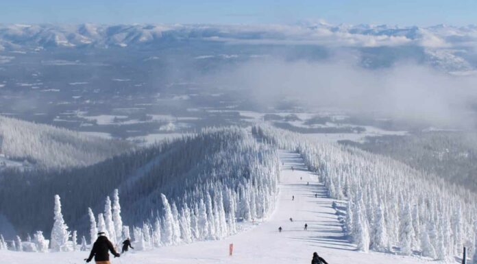 Scopri i 10 stati più freddi di dicembre
