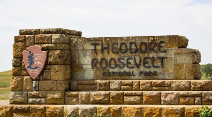 Parco nazionale Theodore Roosevelt, Dakota del Nord, Stati Uniti