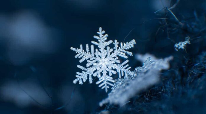 Fiocco di neve singolo con sfondo blu scuro e cupo