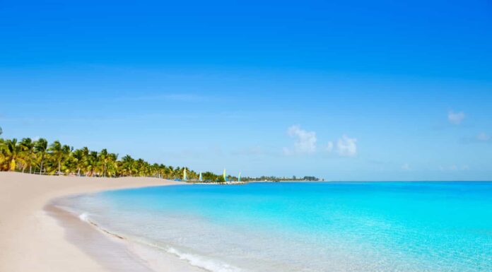 Key West Florida Smathers Beach palme negli Stati Uniti