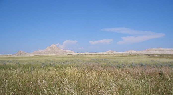Il più grande proprietario terriero del Nebraska possiede un ridicolo 549.346 acri
