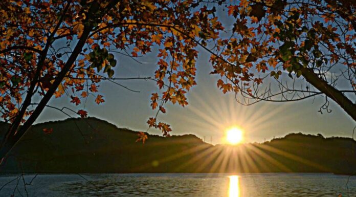 Radnor Lake, Tennessee
