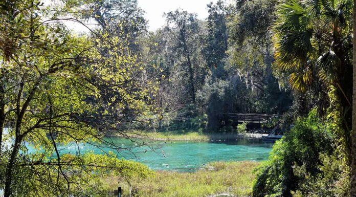 Giardini di Rainbow Springs Dunnellon, Florida