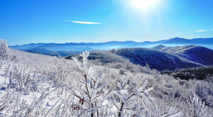 Montagne Blue Ridge nella neve.  Vista spettacolare a Max Patch, North Carolina e Tennessee.  Asheville.  Grandi Montagne Fumose.  Sentieri degli Appalachi.