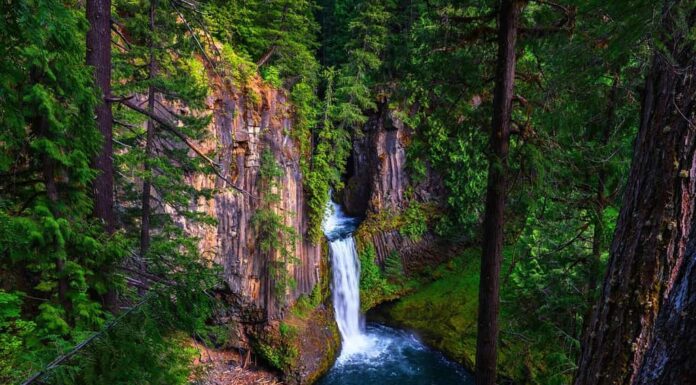 Toketee cade sul fiume North Umpqua situato nella contea di Douglas, Oregon.