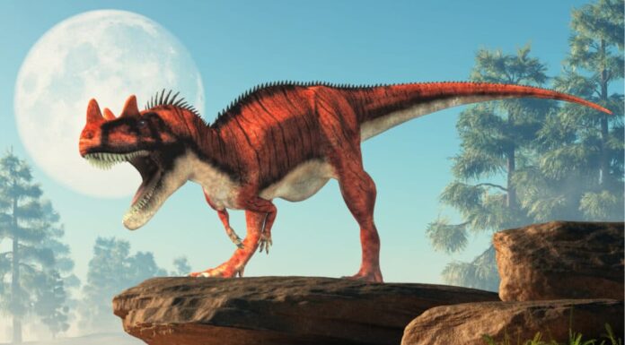Ceratosaurus - Dinosauri con le corna